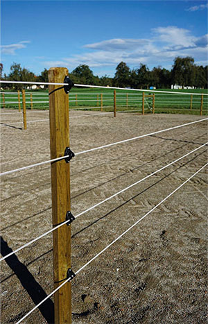 Premium Horse Wire Im Bereich des permanenten Festzauns
