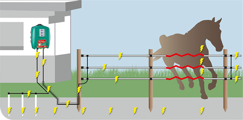 Elektrozaunsystem mit einem geschlossenen Stromkreislauf