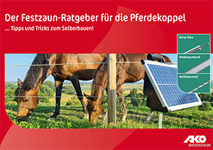 Teaser Cover des Festzaun-Ratgebers