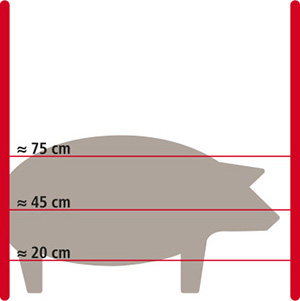 Grafik Elektrozaun für Schweine