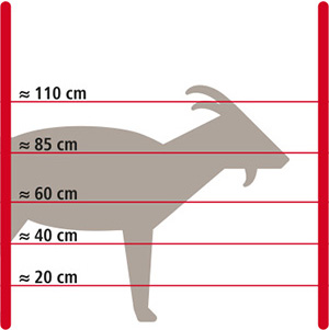 Grafik Elektrozaun für Ziegen