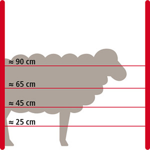 Grafik Elektrozaun für Schafe