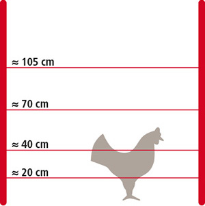 Grafik Elektrozaun für Hühner