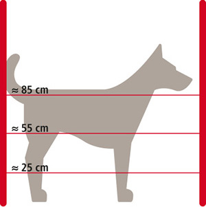 Grafik Elektrozaun für große Hunde