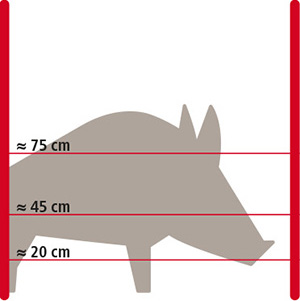 Grafik Abwehr von Wildschweinen