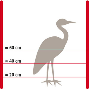 Grafik Elektrozaun zur Abwehr von Fischreihern