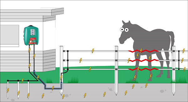 Grafik zur Wirkungsweise eines Elektrozauns