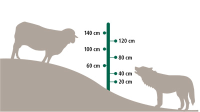 Grafik für Zaunmaße für den Herdenschutz in alpinem Gebiet