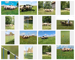 Vorschau Download Bildersammlung Imagebilder für Wolfsabwehr