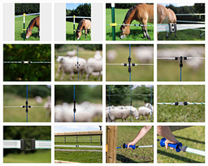 Vorschau Download Bildersammlung Imagebilder für LitzClip