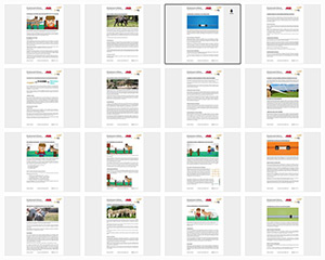 Vorschau Download Bild Texte Sammlung für LitzClip