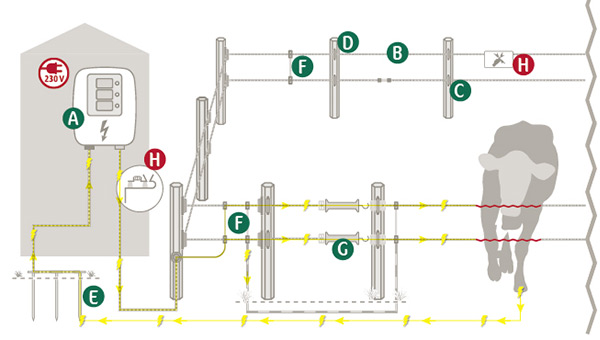 Grafik für Permanentzaun mit 230 Volt Versorgungstechnik für Rinder