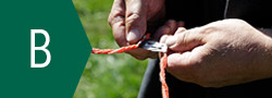 Menuvorschaubild für Leitermaterial für Geflügelnetze