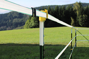 Halb-Permanentzaun mit T-Pfählen umzäunt eine Pferdeweide