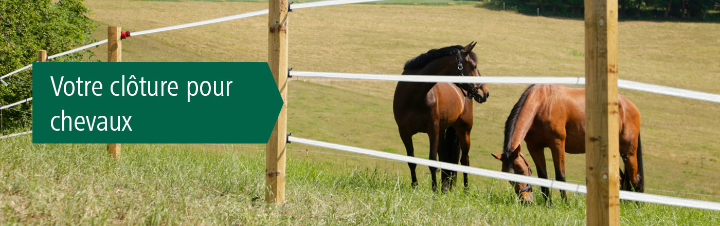 Electrificateur pour clôture équitation CAVALO 230V AKO