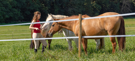 Landwirtin mit Pferden auf einer mit PlatinumLine Leitermaterial umzäunten Weide