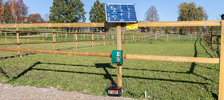 Ein Weidezaun mit Solarweidezaungerät und Solarpanel