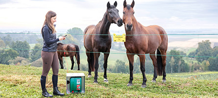 Eine Landwirtin kontrolliert ihren elektrischen Weidezaun um die Pferdeweide