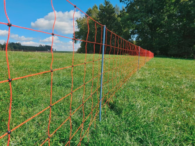 Sheep wire shop